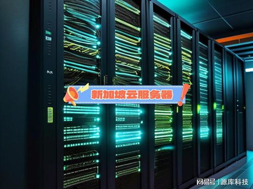 新加坡云服务器租用关键因素 数据处理与存储支持服务解析