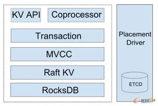 刘奇谈如何构建一个NewSQL数据库 数据处理与存储支持服务