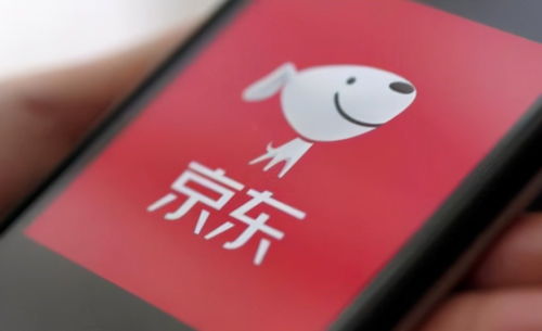 京东关联企业布局数字科技新领域，动漫动画设计及数据处理成新增长点